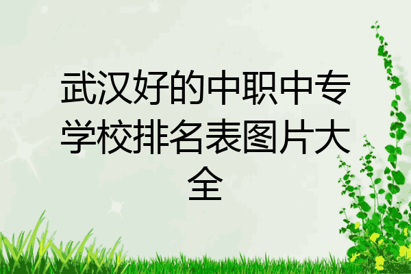 武汉好的中职中专学校排名表图片大全