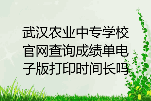 武汉农业中专学校官网查询成绩单电子版打印时间长吗