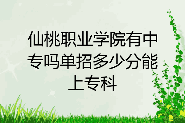仙桃职业学院有中专吗单招多少分能上专科
