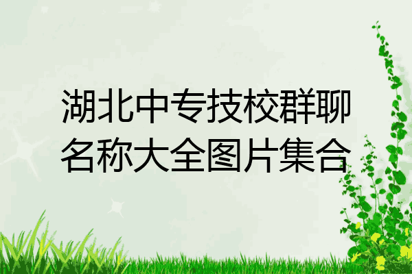 湖北中专技校群聊名称大全图片集合