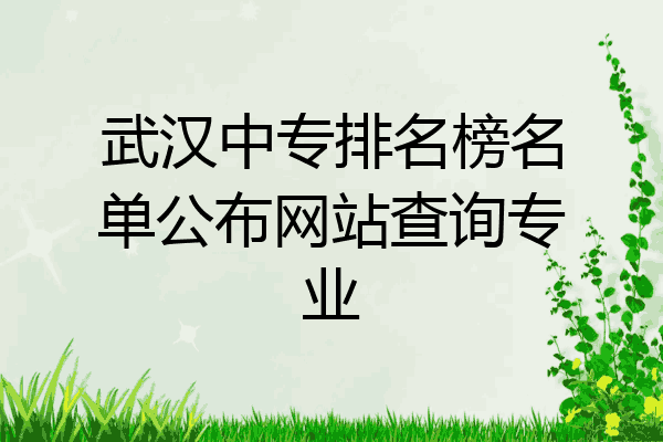 武汉中专排名榜名单公布网站查询专业