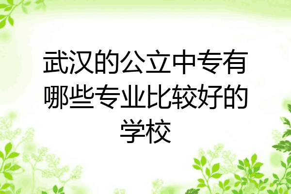武汉的公立中专有哪些专业比较好的学校