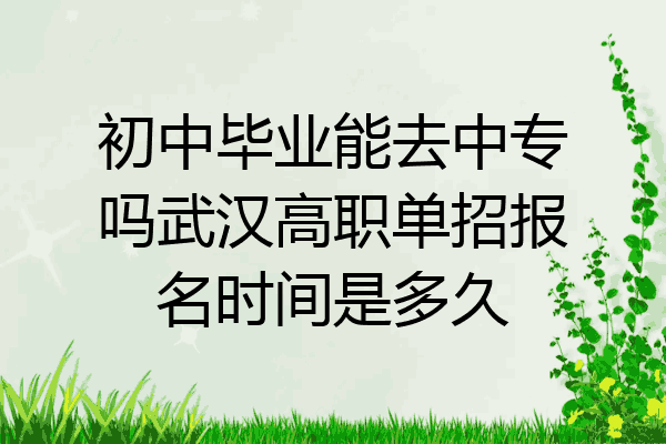 初中毕业能去中专吗武汉高职单招报名时间是多久