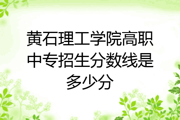 黄石理工学院高职中专招生分数线是多少分