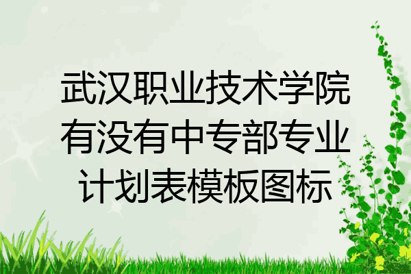 武汉职业技术学院有没有中专部专业计划表模板图标