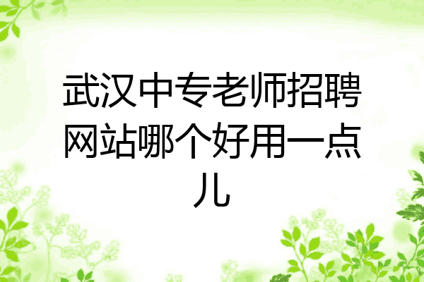 武汉中专老师招聘网站哪个好用一点儿