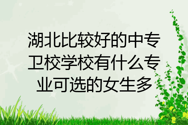 湖北比较好的中专卫校学校有什么专业可选的女生多