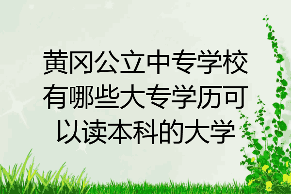 黄冈公立中专学校有哪些大专学历可以读本科的大学