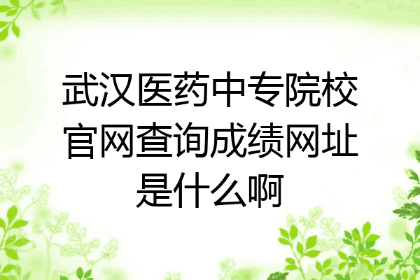 武汉医药中专院校官网查询成绩网址是什么啊