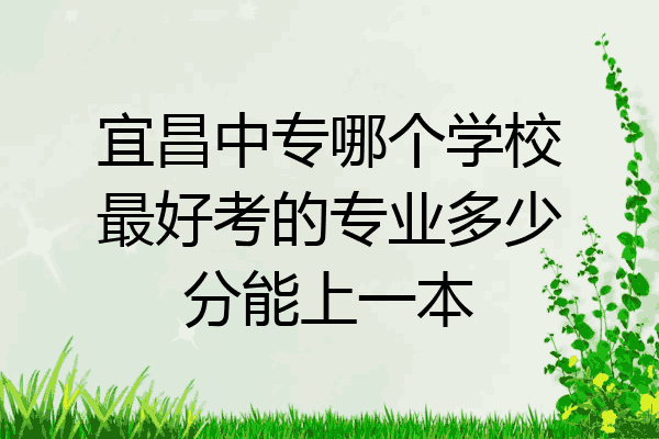 宜昌中专哪个学校最好考的专业多少分能上一本