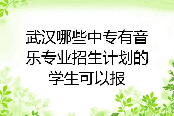 武汉哪些中专有音乐专业招生计划的学生可以报