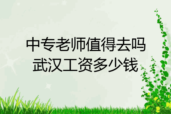 中专老师值得去吗武汉工资多少钱