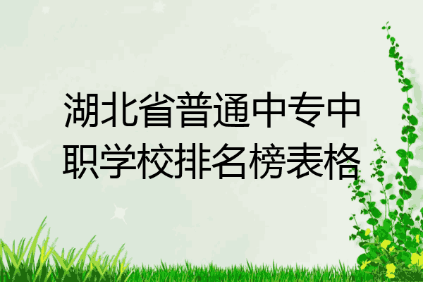 湖北省普通中专中职学校排名榜表格