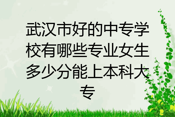 武汉市好的中专学校有哪些专业女生多少分能上本科大专