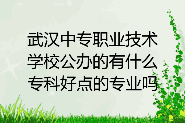 武汉中专职业技术学校公办的有什么专科好点的专业吗
