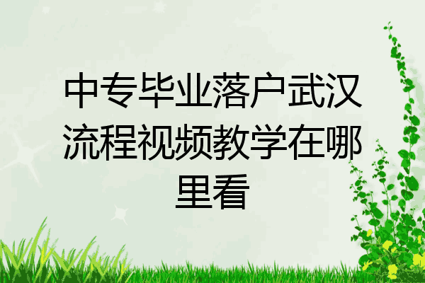 中专毕业落户武汉流程视频教学在哪里看
