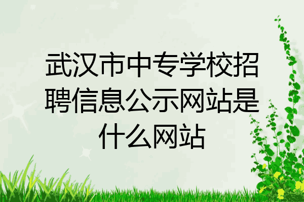 武汉市中专学校招聘信息公示网站是什么网站