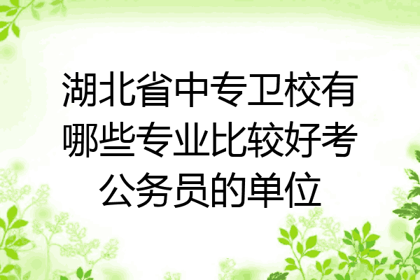 湖北省中专卫校有哪些专业比较好考公务员的单位