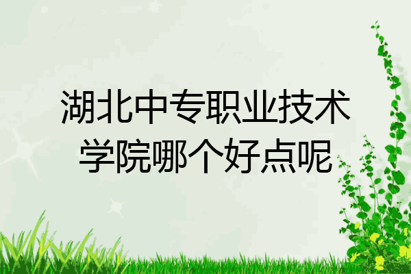 湖北中专职业技术学院哪个好点呢