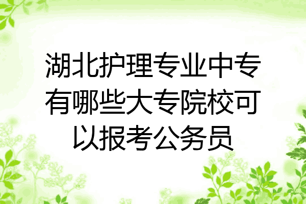 湖北护理专业中专有哪些大专院校可以报考公务员