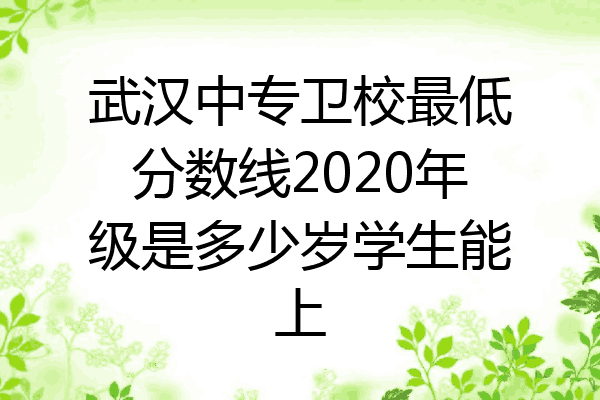 武汉中专卫校最低分数线2020年级是多少岁学生能上