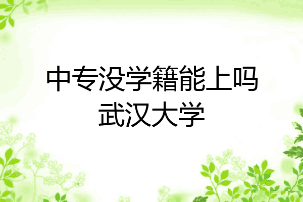 中专没学籍能上吗武汉大学