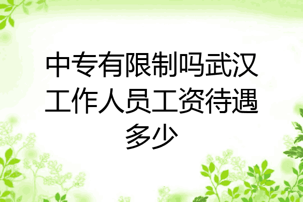 中专有限制吗武汉工作人员工资待遇多少