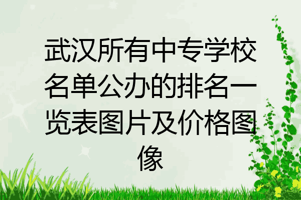 武汉所有中专学校名单公办的排名一览表图片及价格图像