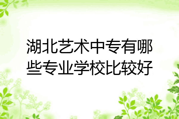 湖北艺术中专有哪些专业学校比较好
