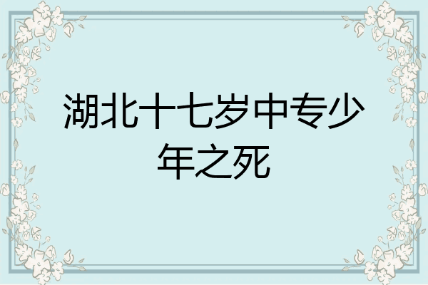 湖北十七岁中专少年之死