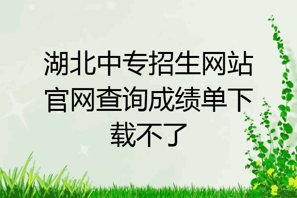 湖北中专招生网站官网查询成绩单下载不了