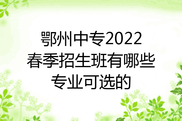 鄂州中专2022春季招生班有哪些专业可选的