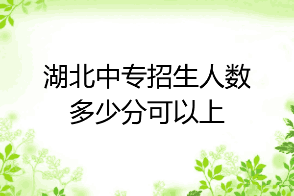 湖北中专招生人数多少分可以上
