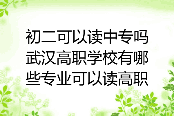 初二可以读中专吗武汉高职学校有哪些专业可以读高职