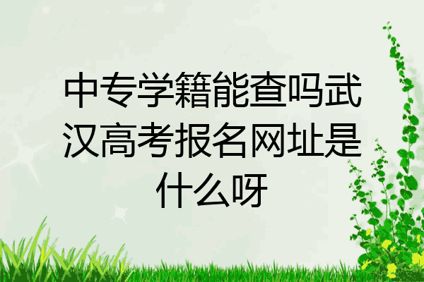 中专学籍能查吗武汉高考报名网址是什么呀