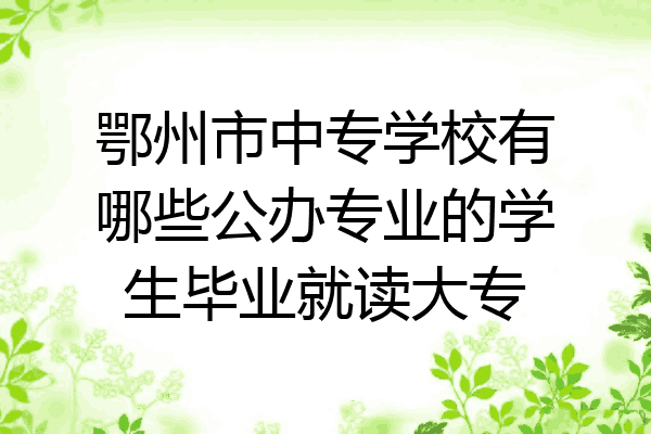 鄂州市中专学校有哪些公办专业的学生毕业就读大专