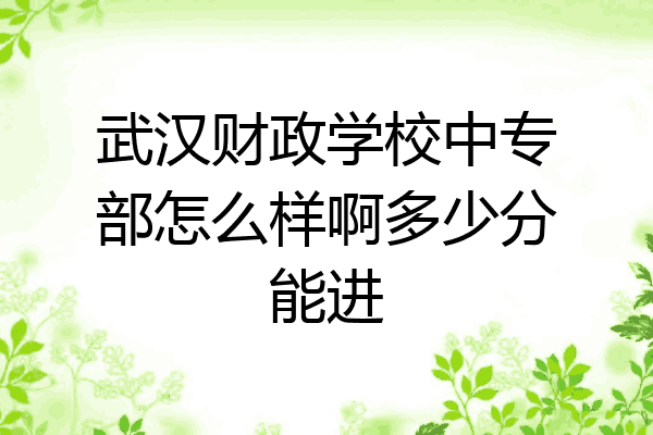 武汉财政学校中专部怎么样啊多少分能进
