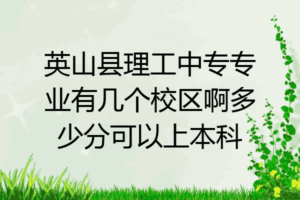 英山县理工中专专业有几个校区啊多少分可以上本科
