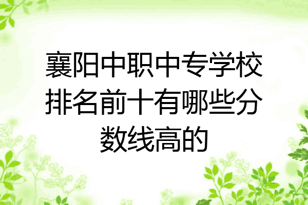 襄阳中职中专学校排名前十有哪些分数线高的