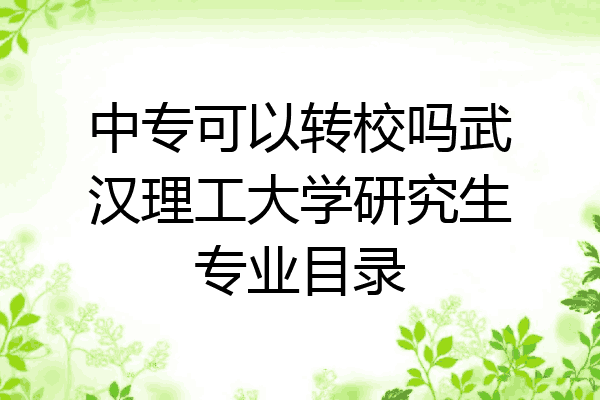 中专可以转校吗武汉理工大学研究生专业目录