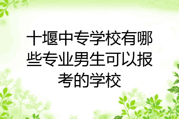 十堰中专学校有哪些专业男生可以报考的学校