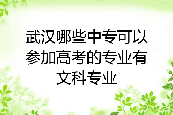 武汉哪些中专可以参加高考的专业有文科专业