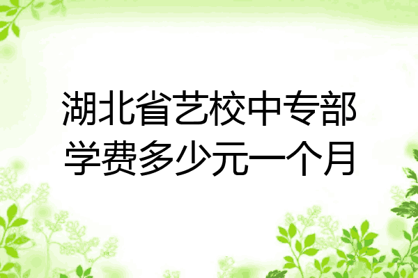 湖北省艺校中专部学费多少元一个月