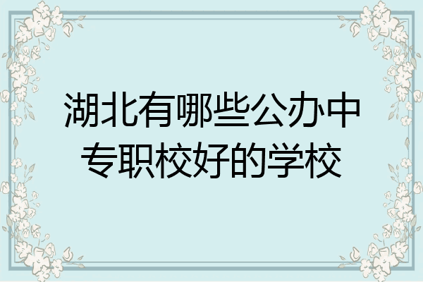 湖北有哪些公办中专职校好的学校