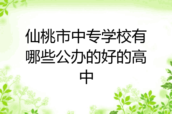 仙桃市中专学校有哪些公办的好的高中