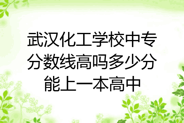 武汉化工学校中专分数线高吗多少分能上一本高中