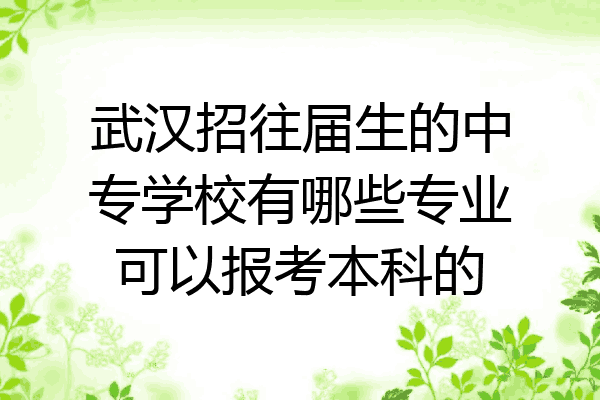 武汉招往届生的中专学校有哪些专业可以报考本科的