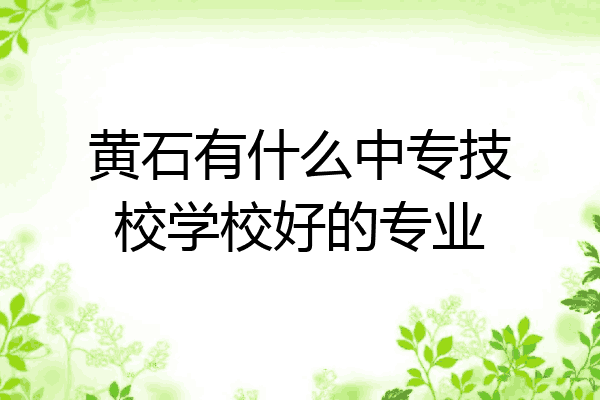黄石有什么中专技校学校好的专业