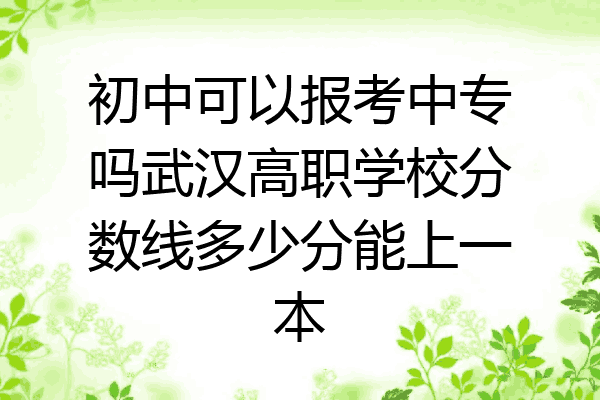 初中可以报考中专吗武汉高职学校分数线多少分能上一本