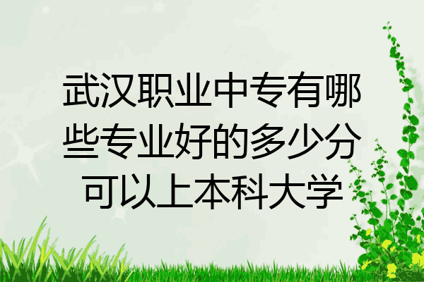 武汉职业中专有哪些专业好的多少分可以上本科大学